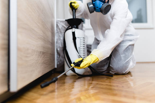 Best Wasp Removal Services  in Green Forest, AR