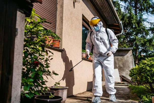 Reliable Green Forest, AR Pest Control Solutions