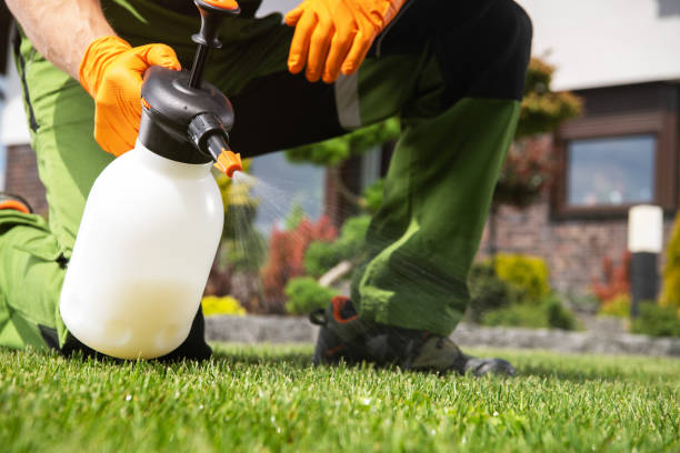 Best Wildlife Control Services  in Green Forest, AR