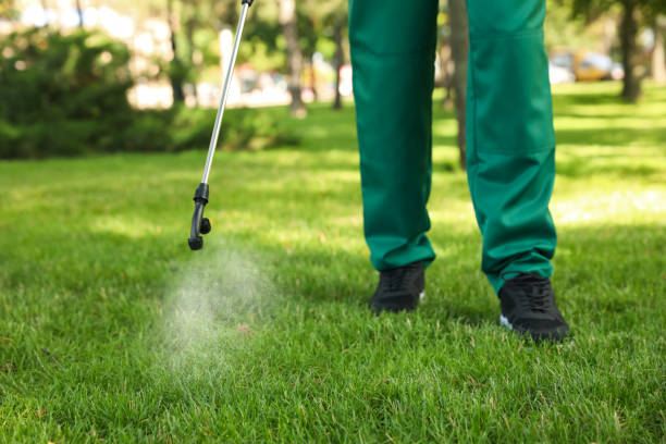 Best Bed Bug Extermination  in Green Forest, AR