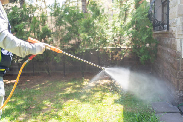 Best Termite Control Services  in Green Forest, AR