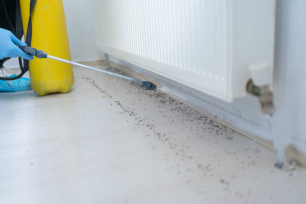 Best Best Pest Control Companies  in Green Forest, AR